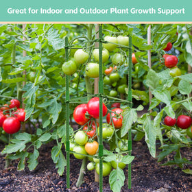 Riare indoor-outdoor plant support blends with greenery while boosting stability.