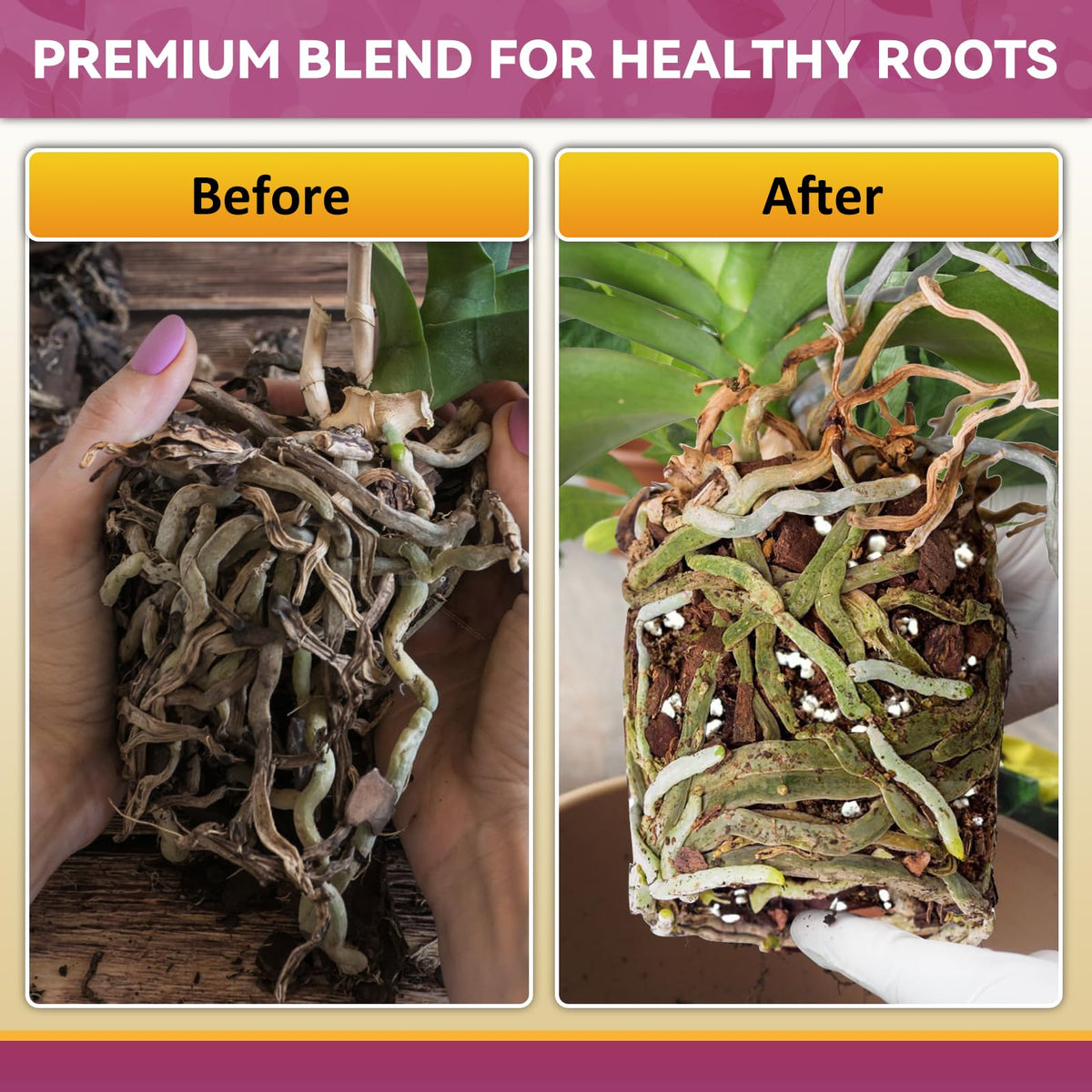 Riare orchid mix ready to use makes repotting simple and efficient.