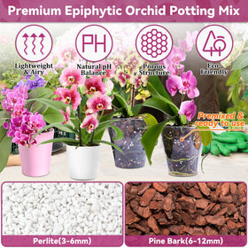 Riare orchid mix texture closeup highlights bark and perlite for drainage.