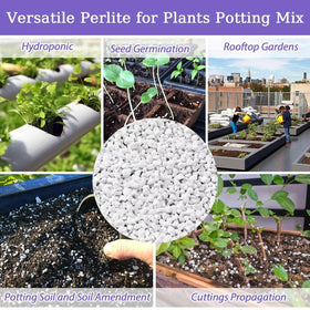 Riare perlite chunky coarse structure reduces soil compaction for potted plants.