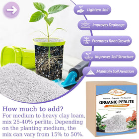 Riare perlite drainage and ventilation promotes healthy roots in containers.