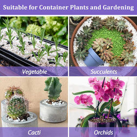 Riare perlite suitable for hydroponics and rooftop gardens keeps roots well-aerated.