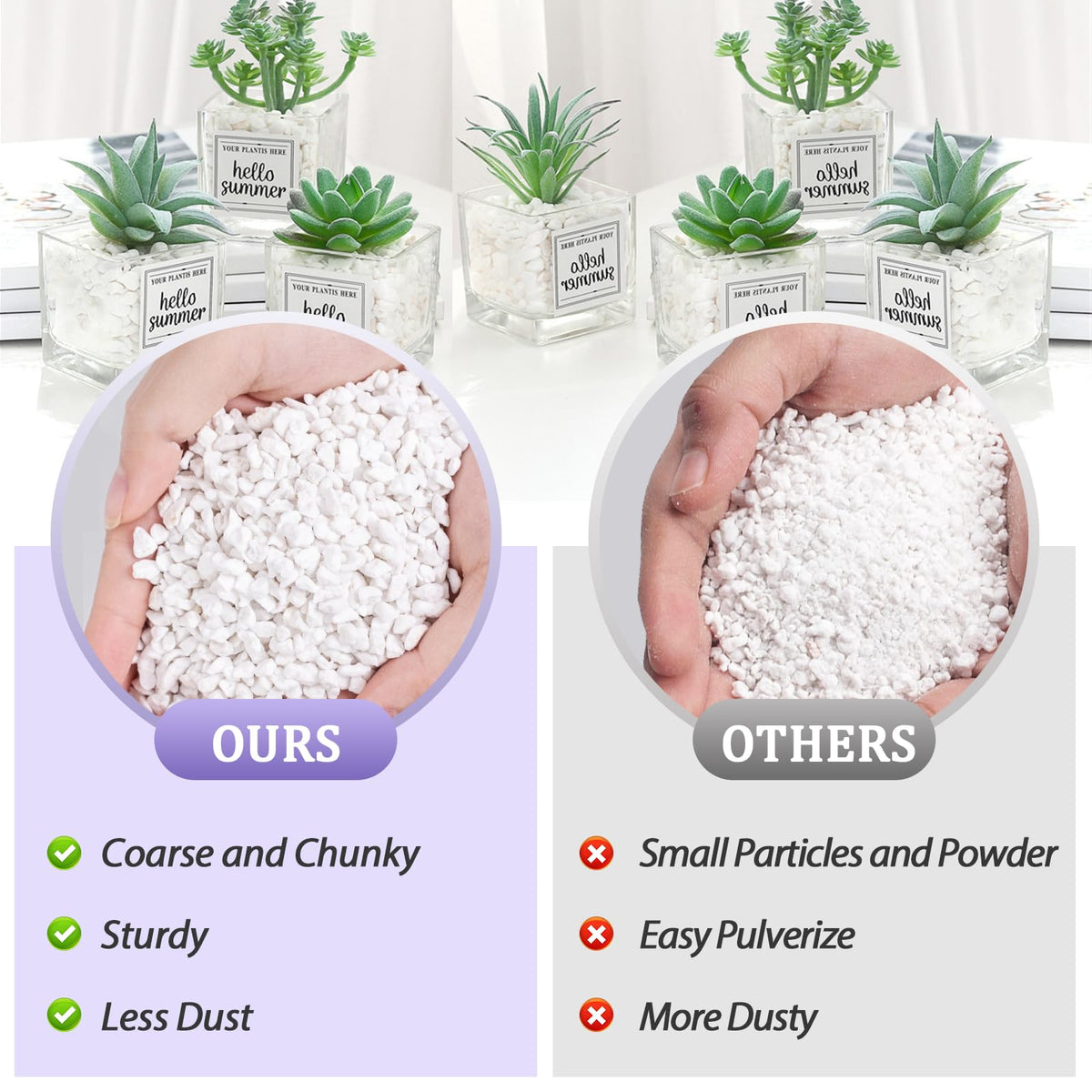 Riare perlite supports robust root growth when mixed with soil.