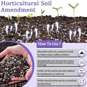Riare perlite for seedling propagation and cuttings boosts soil structure.