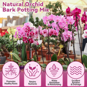 Riare pine bark and perlite particles support loose, breathable root zone.