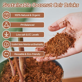 Riare coco coir brick ideal for seed germination and nursery setups.