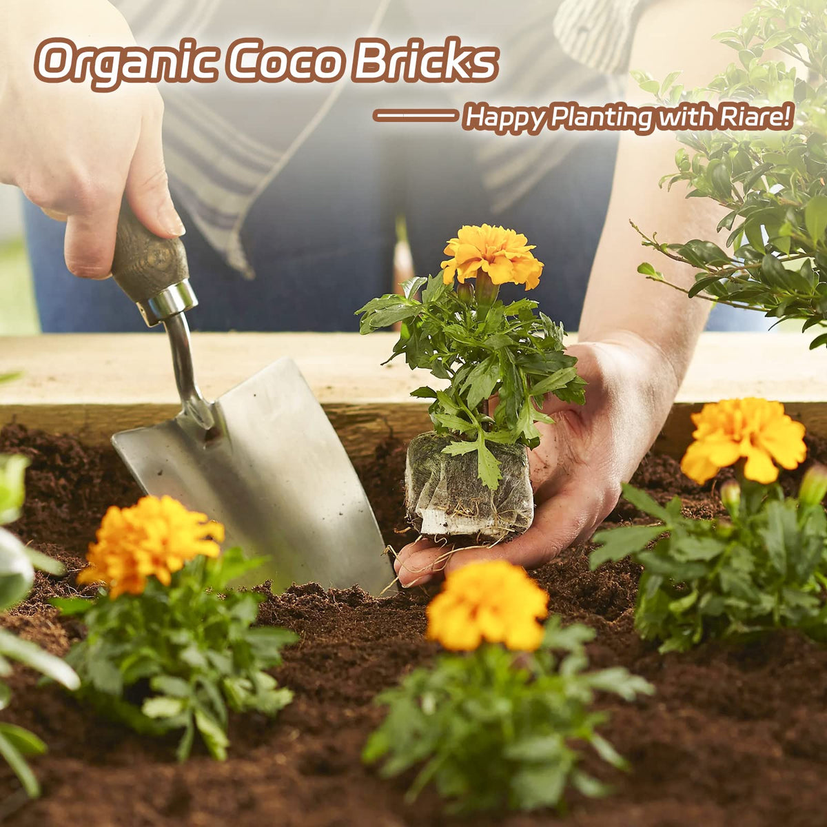 Riare coco coir brick supports seedling care and raised bed planting.