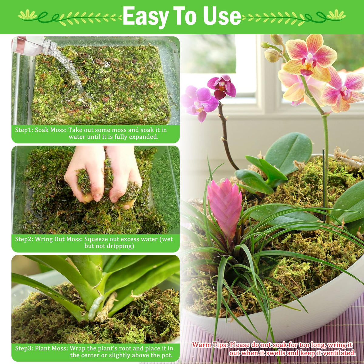 Riare sphagnum moss boosts drainage to prevent root rot in repotting.