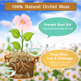 Riare sphagnum moss ideal for carnivorous plants with strong moisture retention.