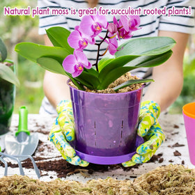 Riare sphagnum moss stays clean, wind-dried with no dyes or debris.
