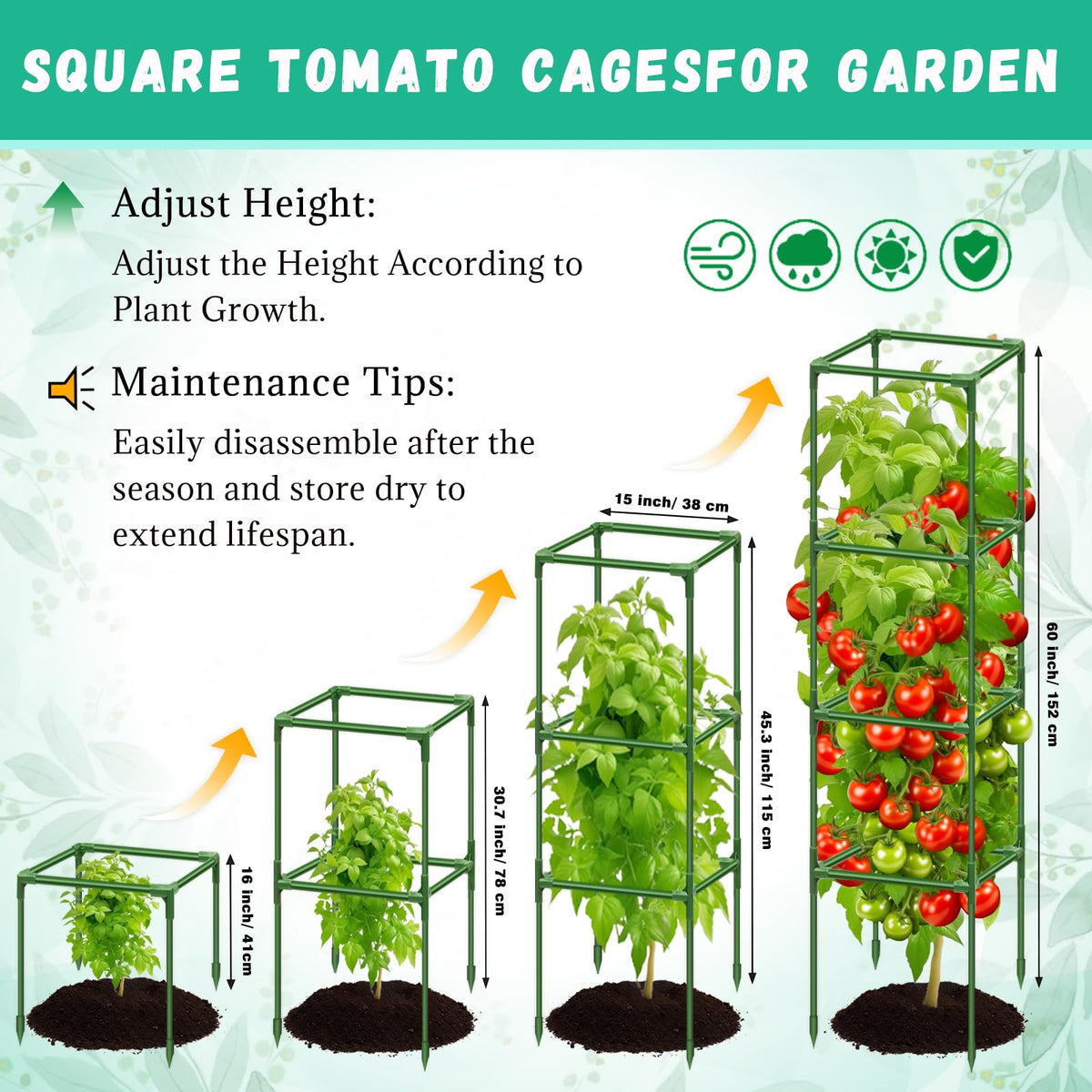 Riare square tomato cage at 60-inch height supports tall plants.