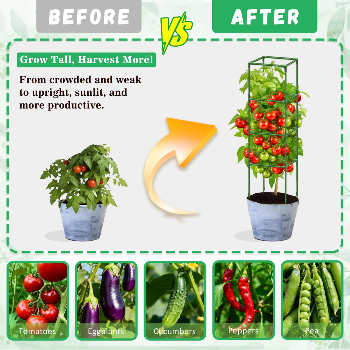 Riare assembled trellis supports cucumbers, beans, and peppers in a garden.