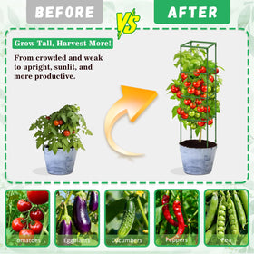 Riare assembled trellis supports cucumbers, beans, and peppers in a garden.