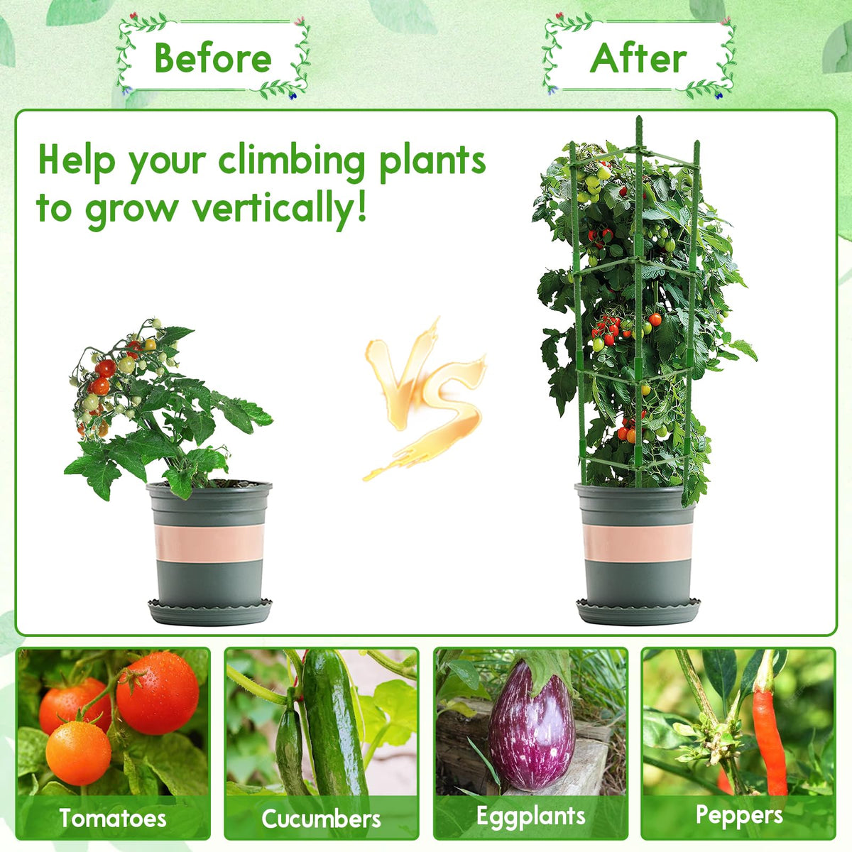 Riare outdoor tomato support system stabilizes climbing plants