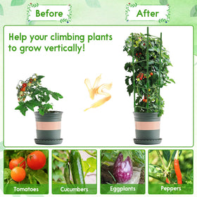 Riare outdoor tomato support system stabilizes climbing plants