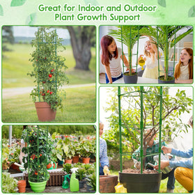 Riare vertical trellis setup for cucumbers and climbing flowers