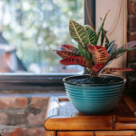 RICH ATLAS outdoor-ready blue-striped pot in a garden setting.