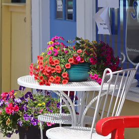 RICH ATLAS two-pack blue-striped pots enhancing home greenery.