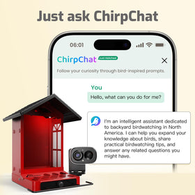 RichBird 2.5K live-stream camera reveals crisp detail of visiting birds