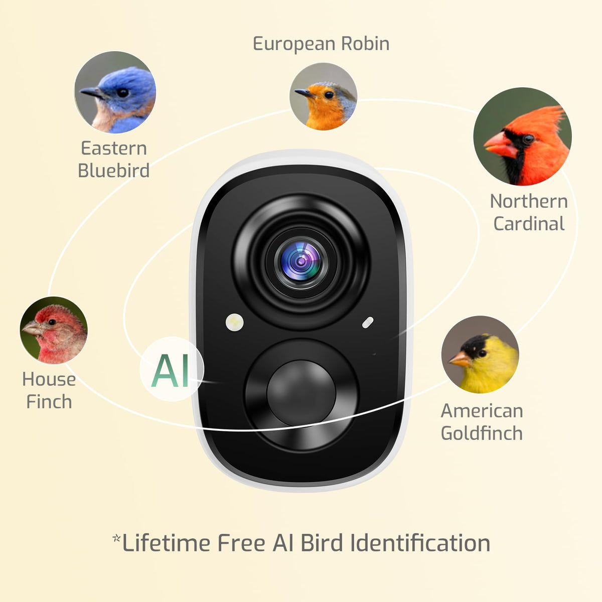 RichBird ChirpChat AI identification highlights bird species as they arrive