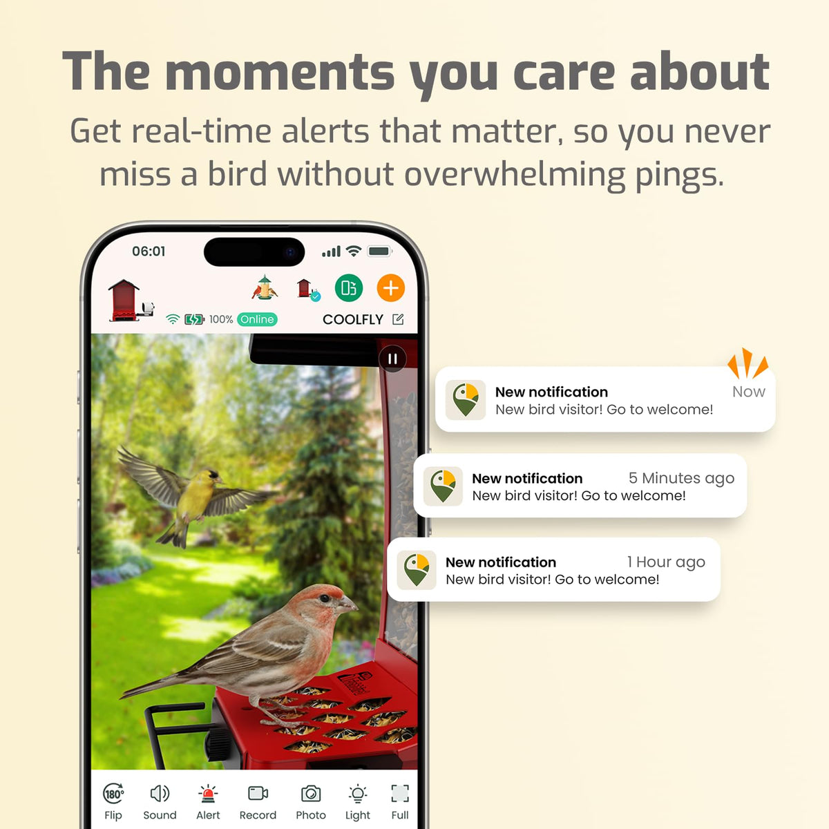 RichBird Coolfly app connects bird lovers through shared feeds