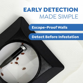 Riddy bed bug detection kit traps set beside furniture for easy setup.