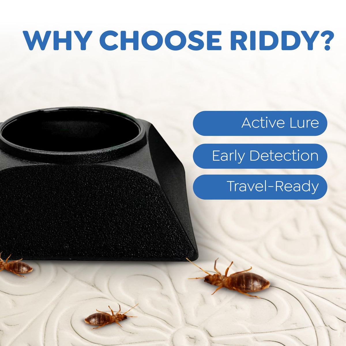 Riddy travel-friendly kit helps monitor bed bugs in luggage.