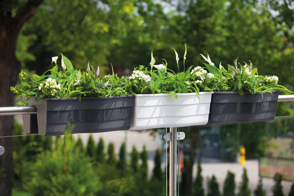 Ridge Rail setup for herbs, flowers, and succulents on a balcony.