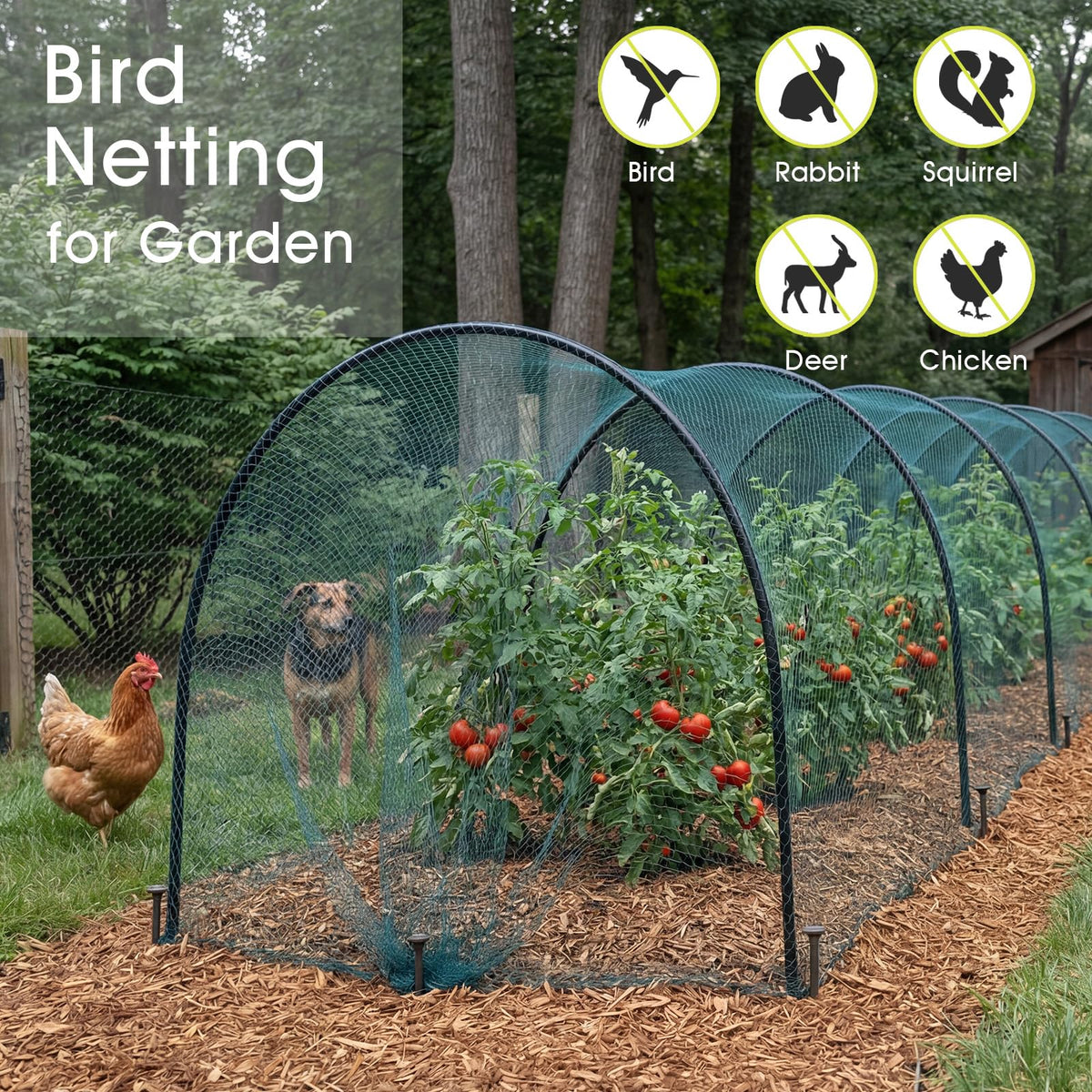 RIFNY bird netting close-up shows 5/8 inch mesh deterring birds.