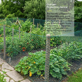 RIFNY bird netting on fruit tree canopy protects ripening fruit.
