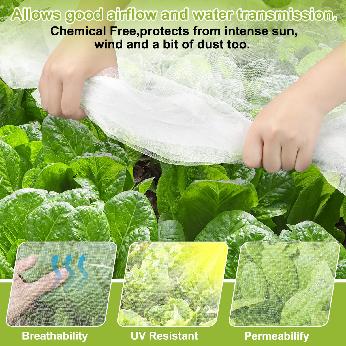 RIFNY garden netting covers plants, allowing light while guarding against pests