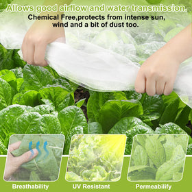 RIFNY garden netting covers plants, allowing light while guarding against pests