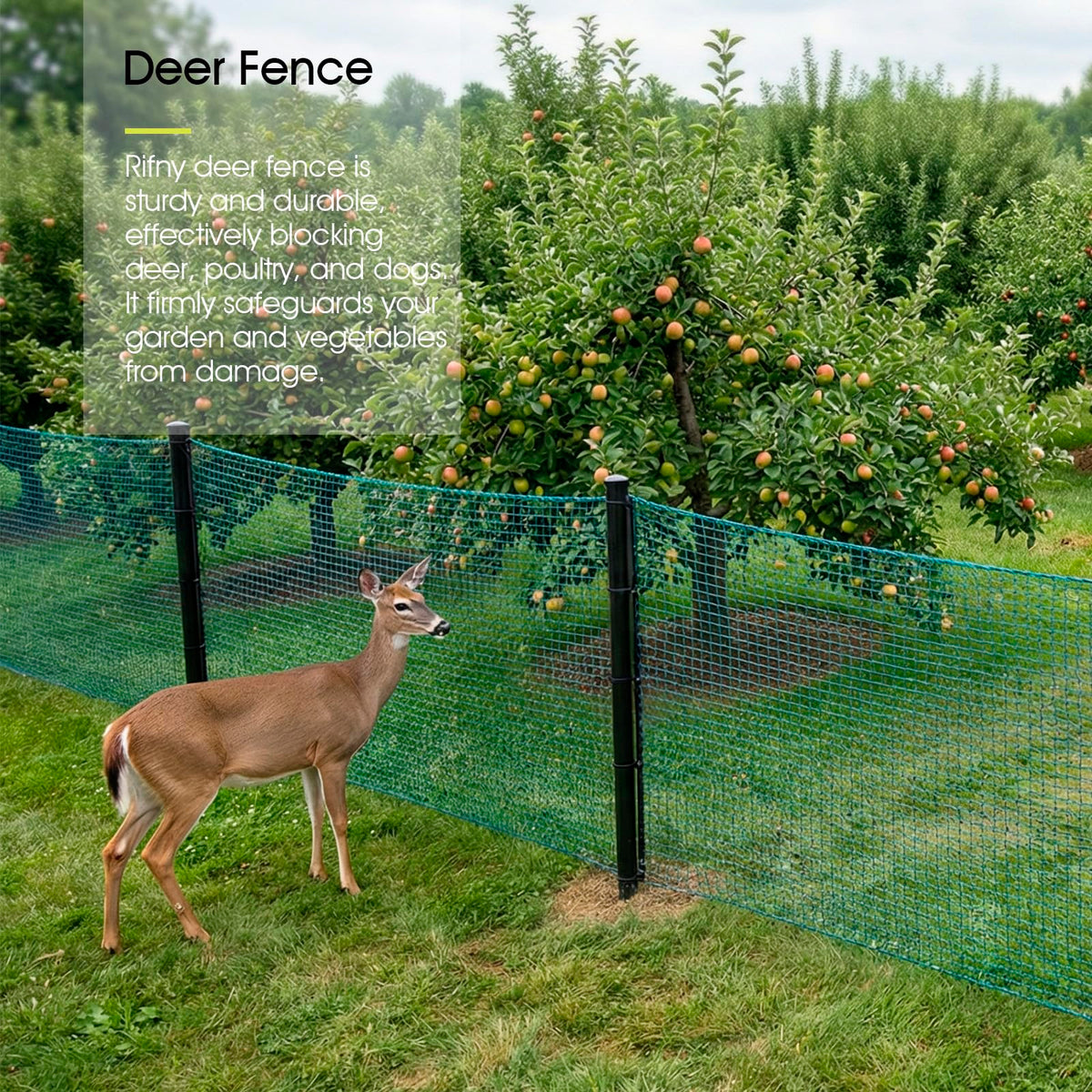 RIFNY included landscape staples secure the netting for stability.