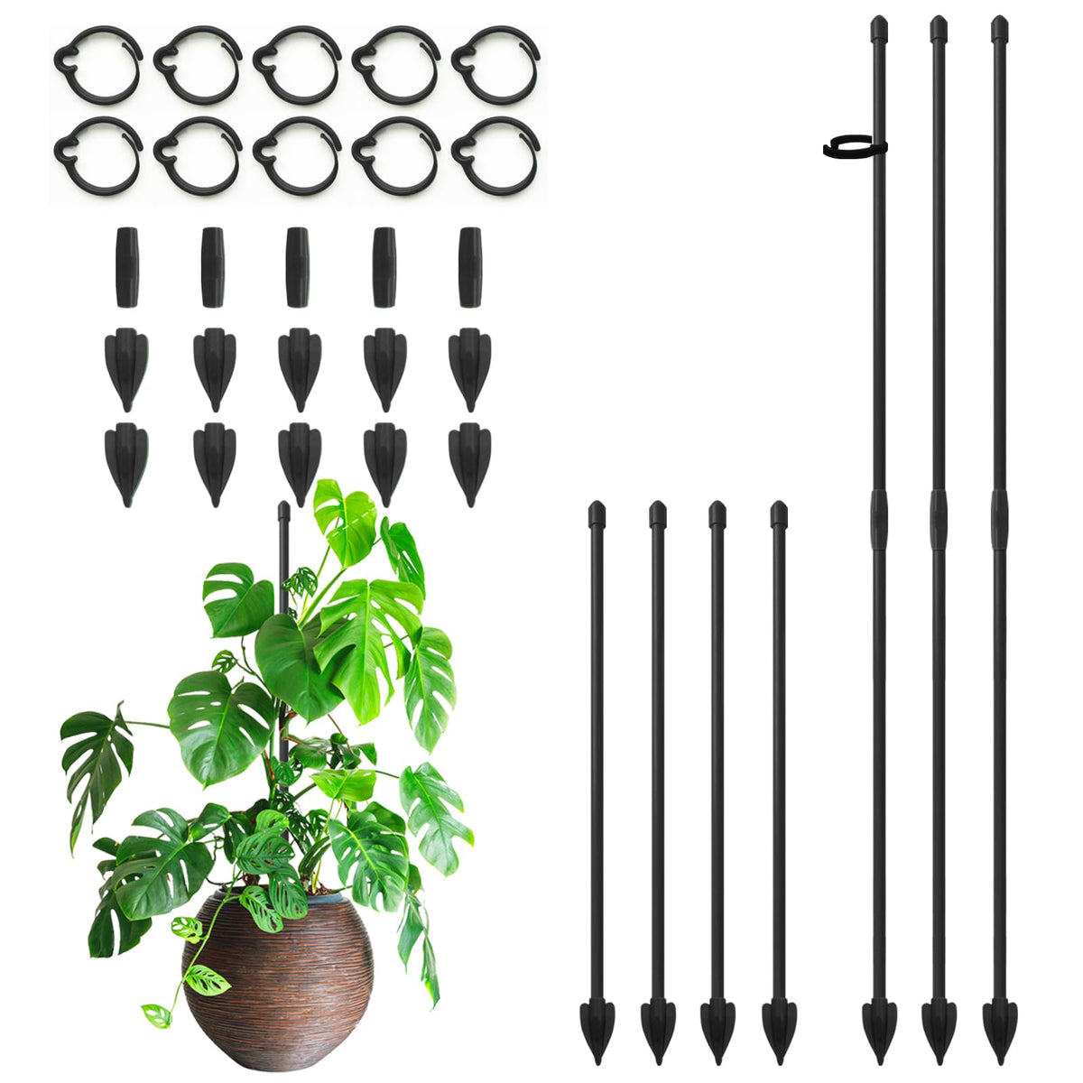 RIFNY plant stakes with adjustable height for versatile indoor and outdoor support.