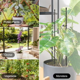 Ideal for climbing plants and upright flowering varieties.