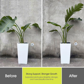RIFNY adjustable height stake adapts as plants grow.
