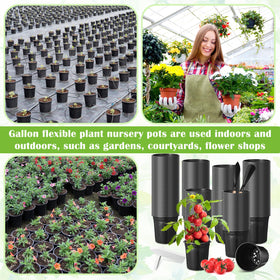 RimCereal bulk 600-count set fits many small plants