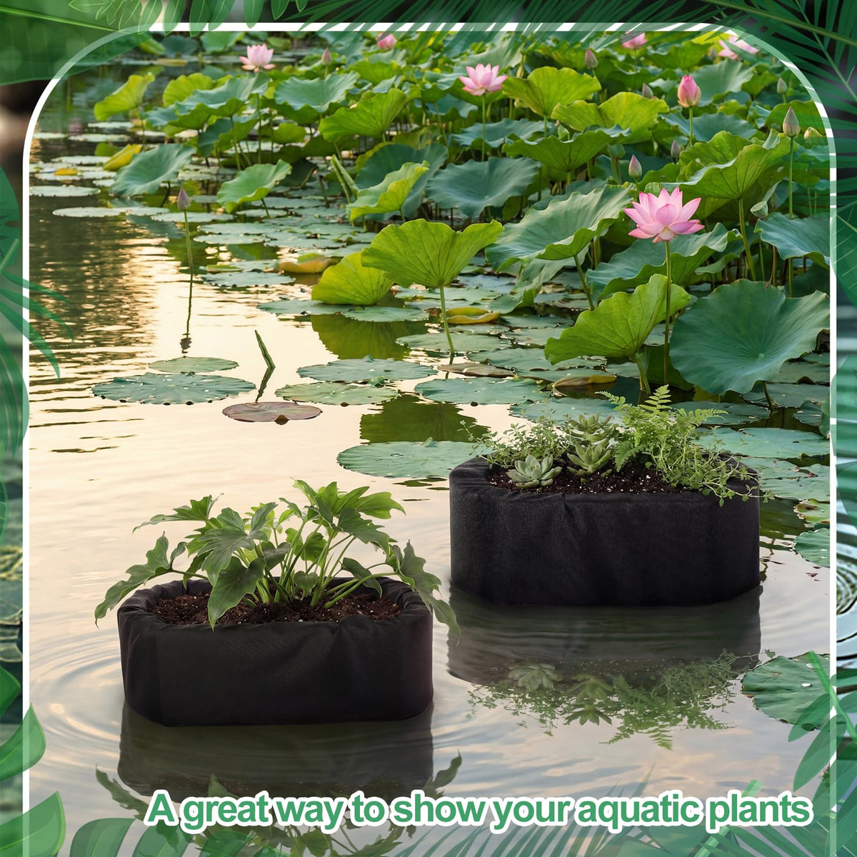 RimCereal hydroponics setup using floating planter for versatile growing.