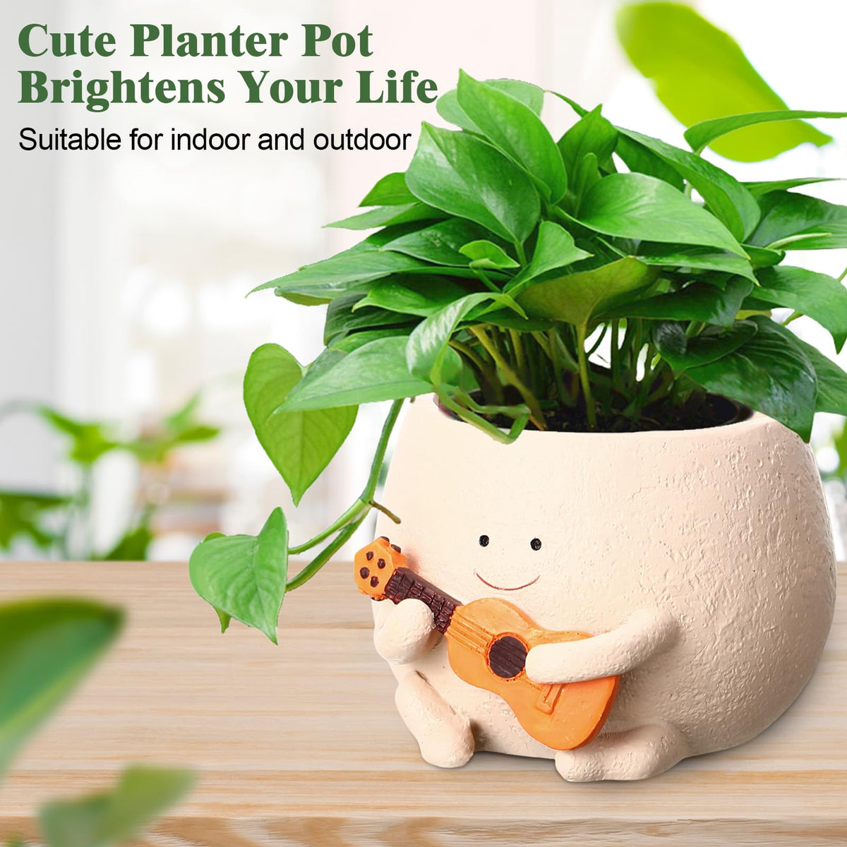 RimCereal four-pack display showcases smile-planter styles