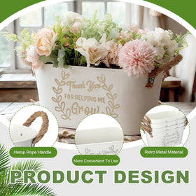 RimCereal indoor garden with succulents in white oval planters.