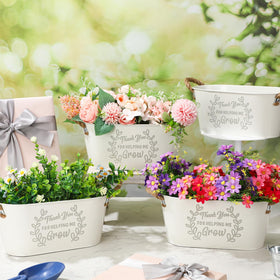 RimCereal white metal planter close-up with small handle for indoor use.