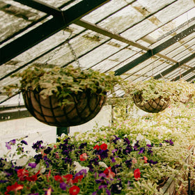 Ideal for indoor or outdoor decor, easy to secure.