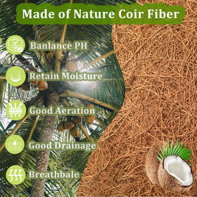 Rimonasure round coco liner in hanging basket enhances airflow and drainage.