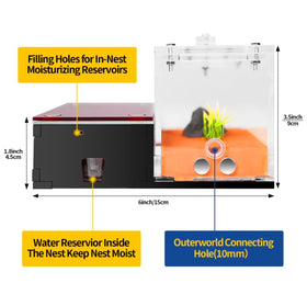 Rimsunta Formicarium cleaning area simplifies nest maintenance.