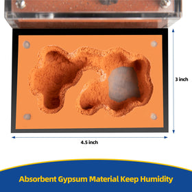 Rimsunta Formicarium expansion holes enable scalable habitat as colonies grow.