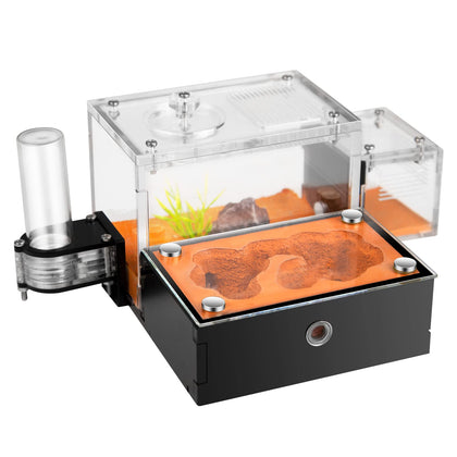 Rimsunta Formicarium nest areas allow clear observation of ant activity.