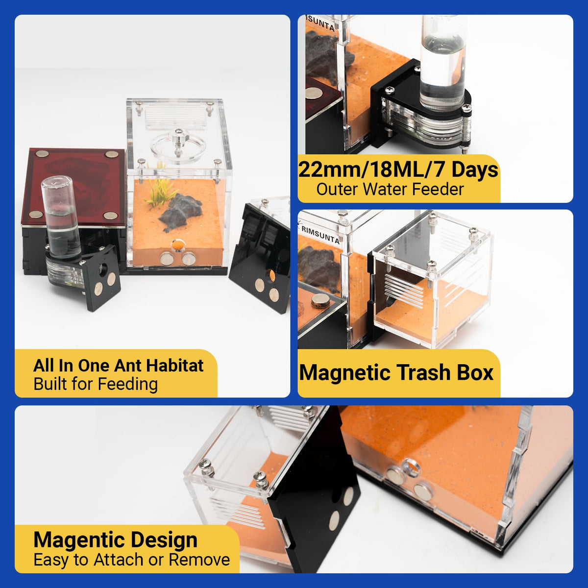 Rimsunta Formicarium water tower ensures steady moisture between water changes.