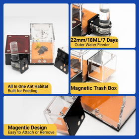 Rimsunta Formicarium water tower ensures steady moisture between water changes.
