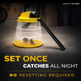 RinneTraps Flip N Slide in action with humane live capture