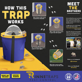 RinneTraps multi-catch capacity demonstrating efficient rodent management.